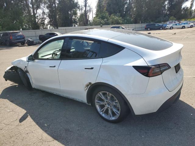 2024 TESLA MODEL Y 7SAYGDED4RF008413