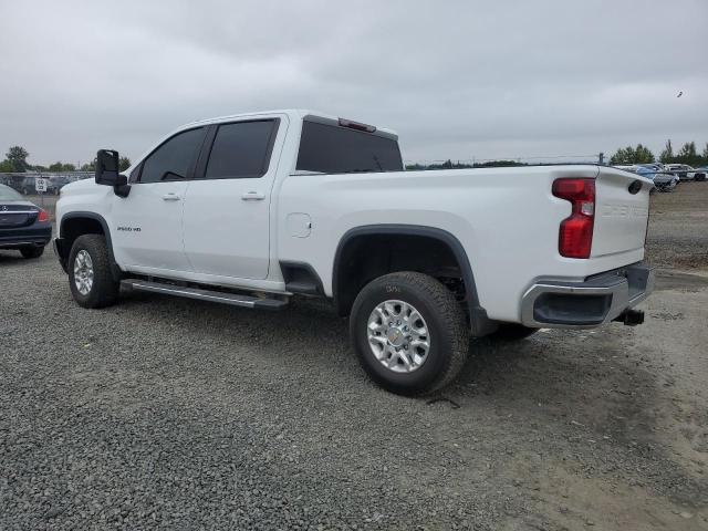 CHEVROLET SILVERADO 2023 1GC1YNEY0PF223252 photo #3