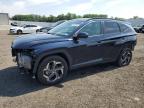 2024 HYUNDAI TUCSON SEL - KM8JCCD16RU228313