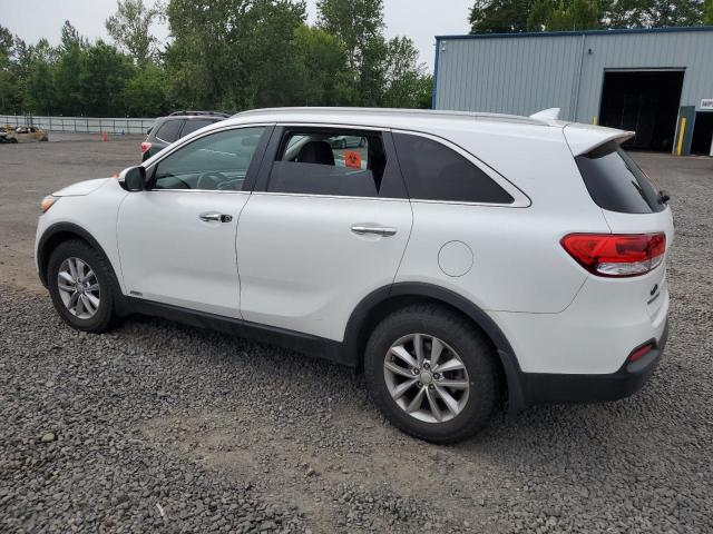 Vin: 5xypgda3xgg016141, lot: 62526225, kia sorento lx 20162