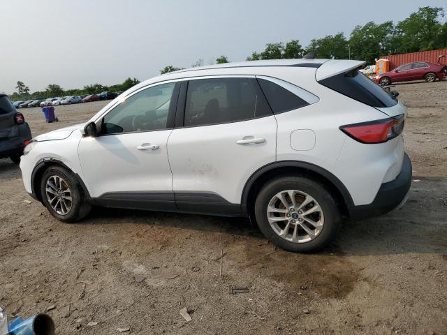 Vin: 1fmcu0g63mua25979, lot: 59115355, ford escape se 20212