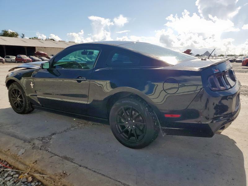 Vin: 1zvbp8am1d5264080, lot: 62923475, ford all models 20132