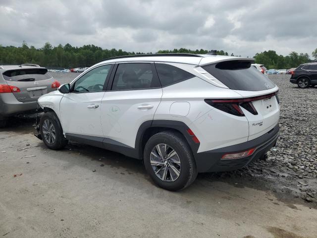 2022 HYUNDAI TUCSON BLU KM8JBCA10NU082217