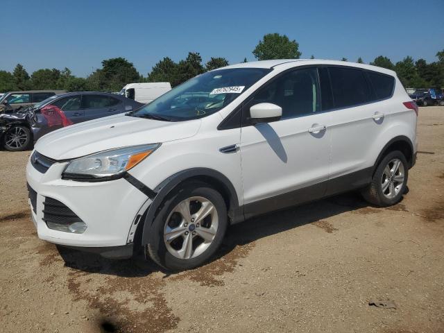 Vin: 1fmcu0gx7eua27924, lot: 59762945, ford escape se 2014 img_1