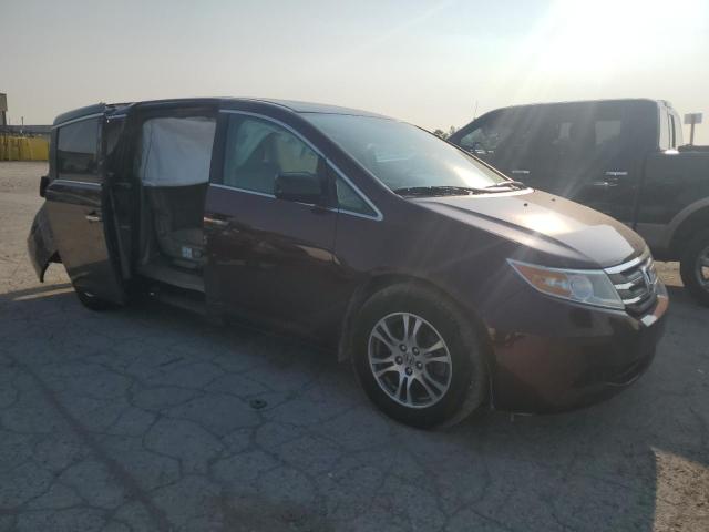 Vin: 5fnrl5h61db038168, lot: 59107785, honda all models exl 20134