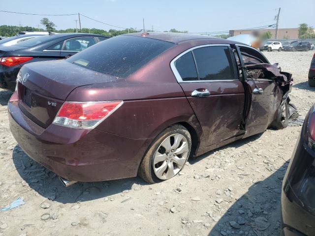 Vin: 5kbcp3f86ab007787, lot: 60488075, honda accord exl 20103