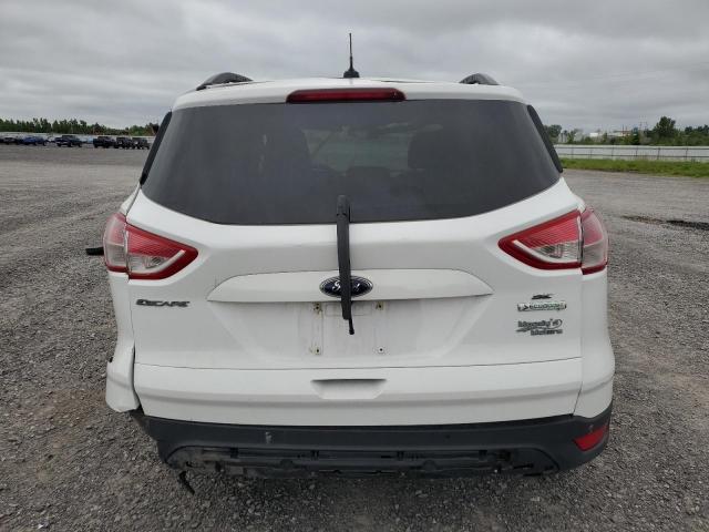 2014 FORD ESCAPE SE - 1FMCU0G96EUC61831