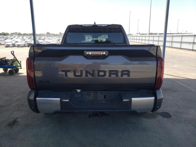 2023 TOYOTA TUNDRA CRE - 5TFJA5DB3PX070037