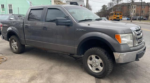 Vin: 1ftew1e8xafa29285, lot: 62917765, ford f-150 supercrew 2010 img_1