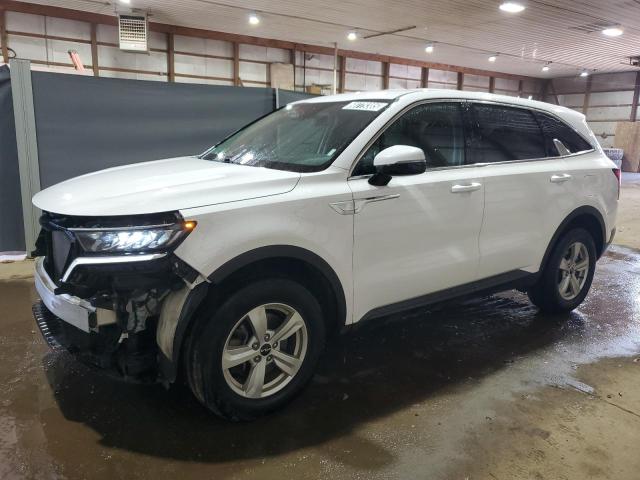 Vin: 5xyrgdlc3pg178070, lot: 60779385, kia sorento lx 2023 img_1