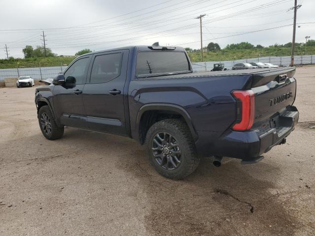Vin: 5tfna5db2px078745, lot: 59004675, toyota tundra crewmax platinum 20232