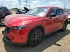 Top Destinations for Shipping Cars from the USA