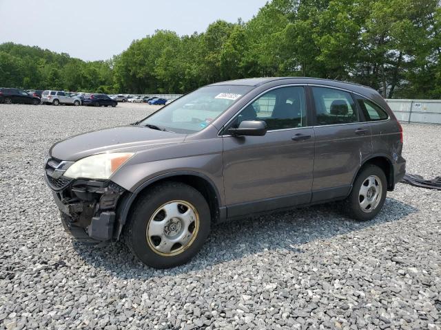 Vin: 5j6re4h31al073595, lot: 59601825, honda crv lx 2010 img_1