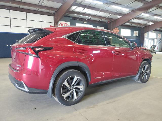 2020 LEXUS NX 300H - JTJGJRDZ2L5005228