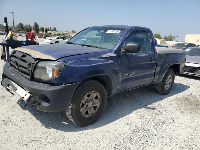 TOYOTA TACOMA 2007 blue pickup gas 5TENX22N37Z440259 photo #1