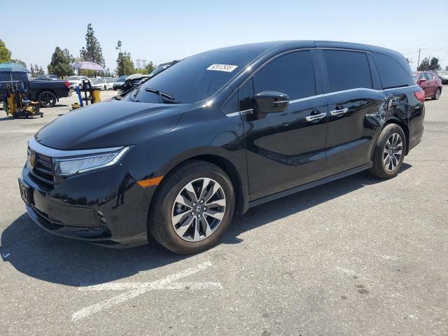 HONDA ODYSSEY EX