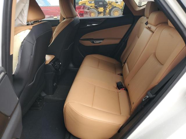 2023 LEXUS NX 350 JTJGGCEZ5P2009579