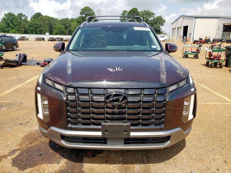 2023 HYUNDAI PALISADE L KM8R54GE9PU563760
