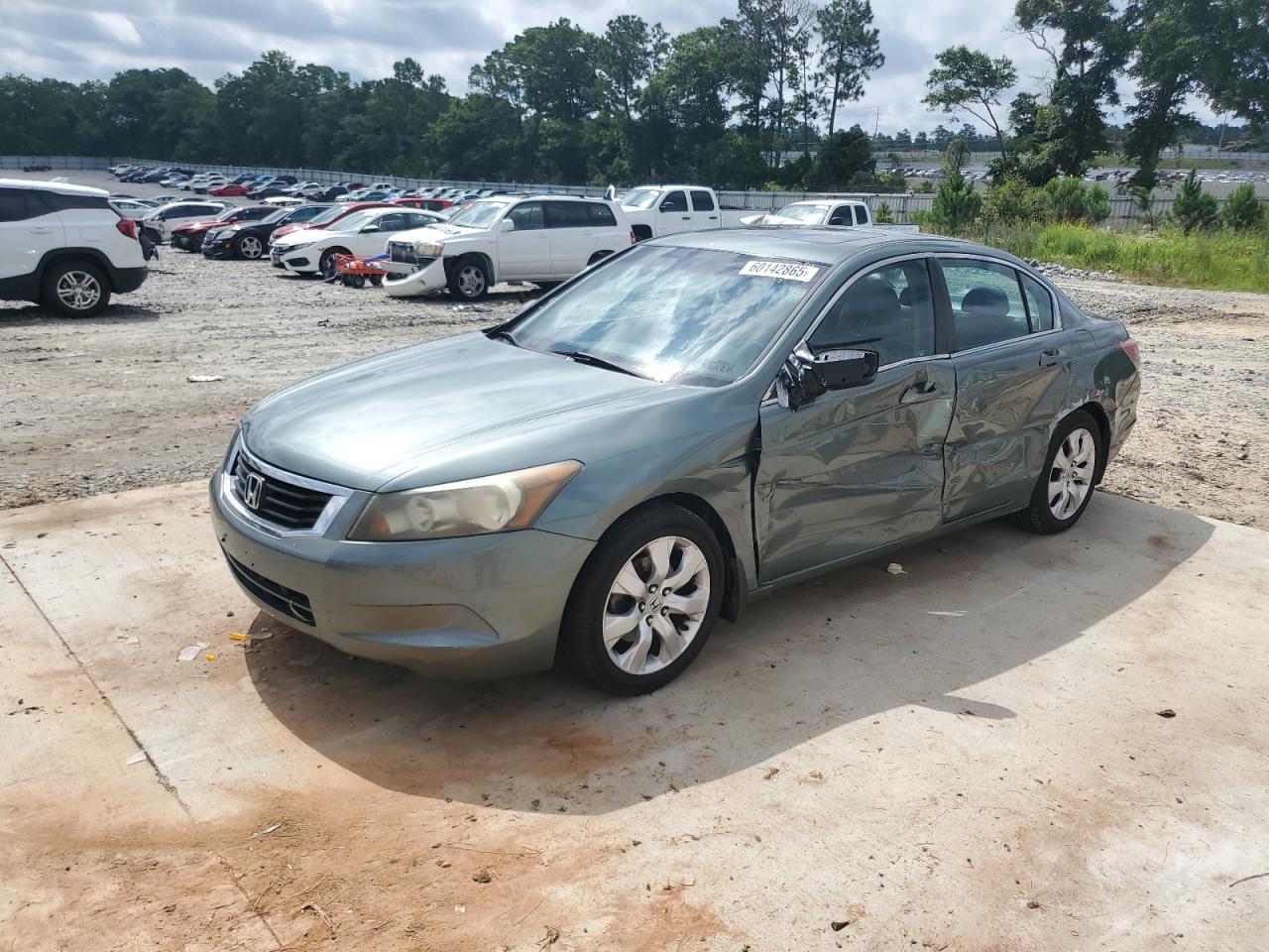 HONDA ACCORD EXL