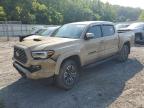 Top Destinations for Shipping Cars from the USA