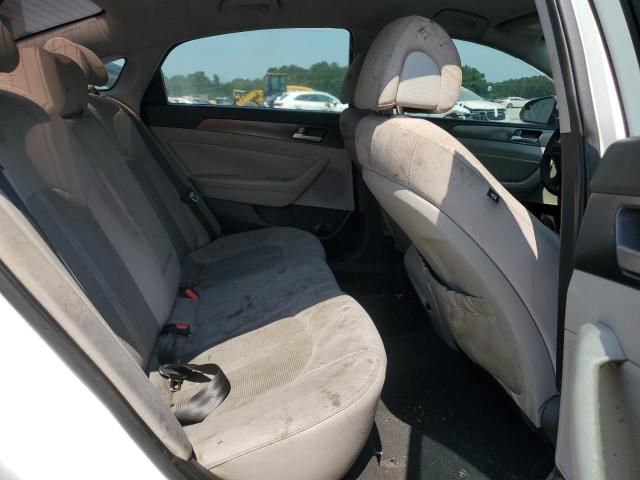2017 HYUNDAI SONATA SPO - 5NPE34AF1HH483228
