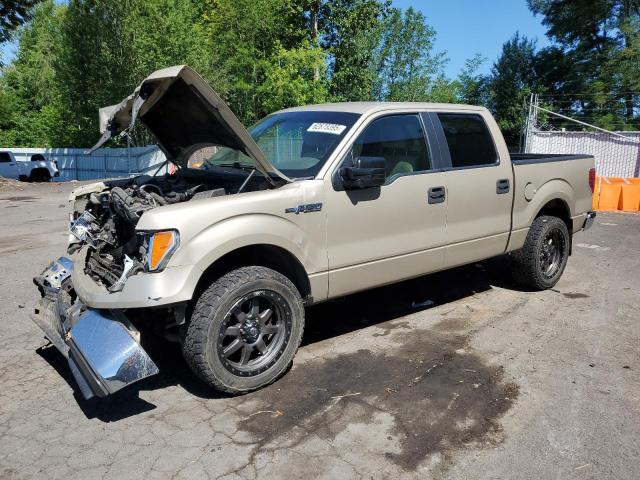 2010 FORD F150 SUPER - 1FTFW1EV6AFB53385