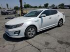 2016 KIA OPTIMA HYB - KNAGM4ADXG5096127