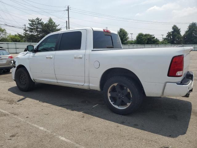 Vin: 1d7rb1ct9as237837, lot: 56900575, dodge all models 20102