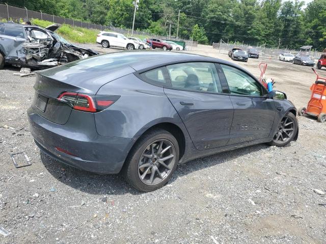 2023 TESLA MODEL 3 #3302910061