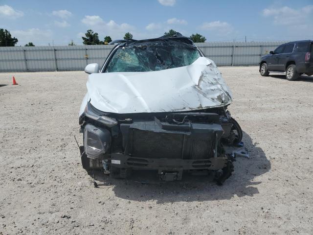 2019 HYUNDAI SANTA FE L - 5NMS53AA9KH043550