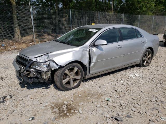 Vin: 1g1zc5e16bf223116, lot: 59351923, chevrolet malibu 1lt 2011 img_1