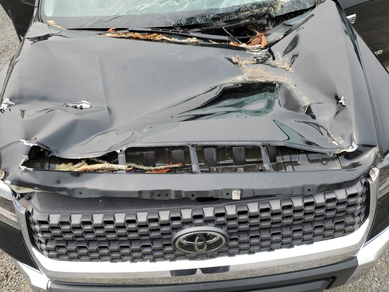 5TFDY5F12KX819089 TOYOTA TUNDRA 2019