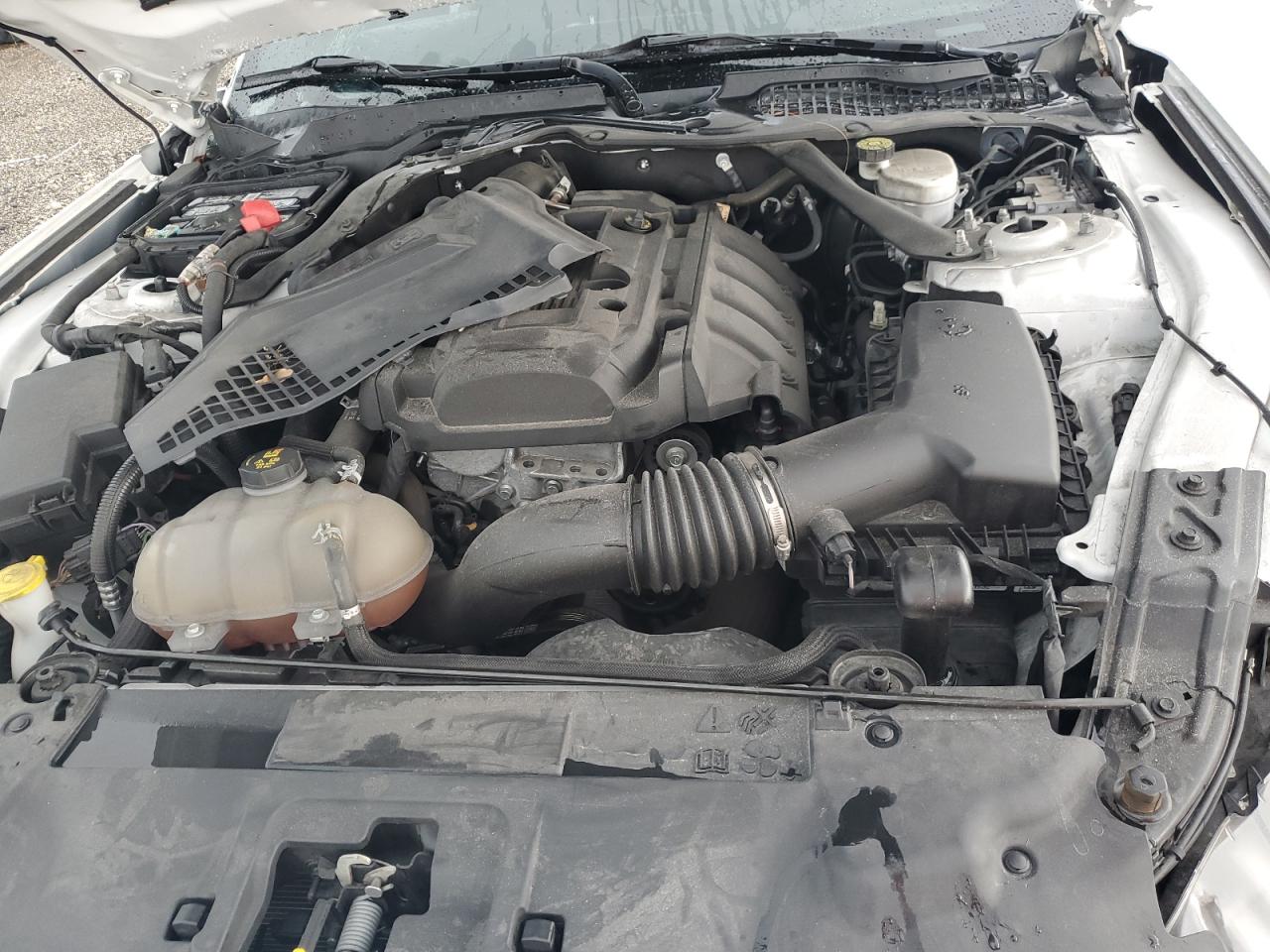 1FATP8UH3K5181615 FORD ALL Models 2019