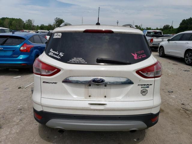 1FMCU9J94EUA96519 2014 FORD ESCAPE, photo no. 6