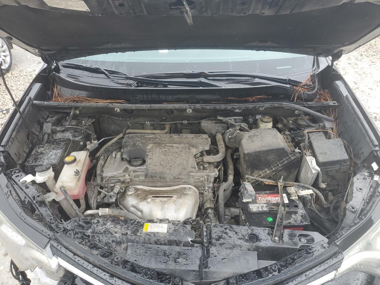 2T3WFREV2GW311985 TOYOTA RAV4 2016