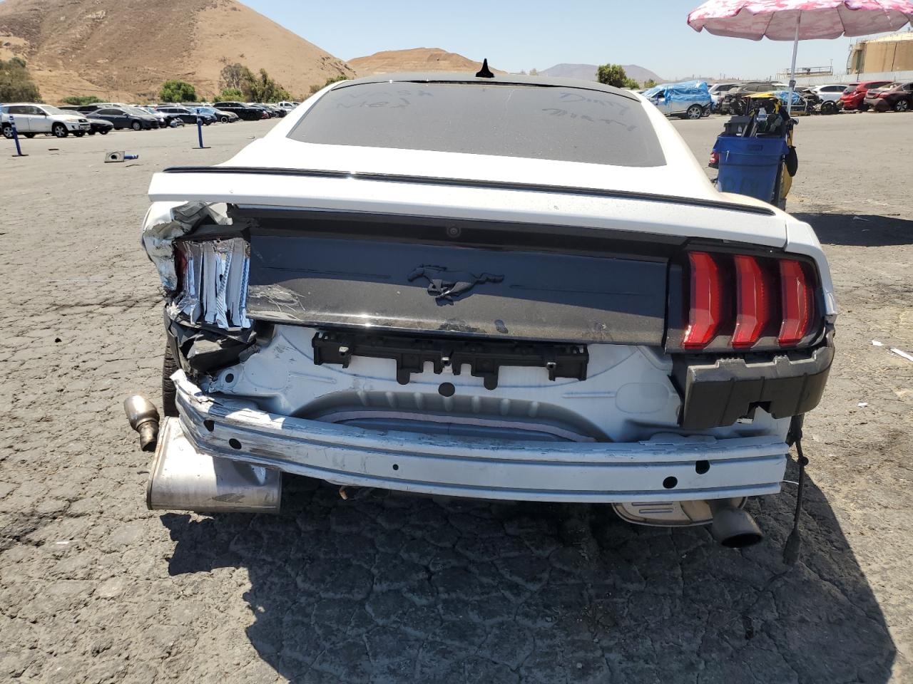 1FA6P8TH3M5133176 FORD ALL Models 2021