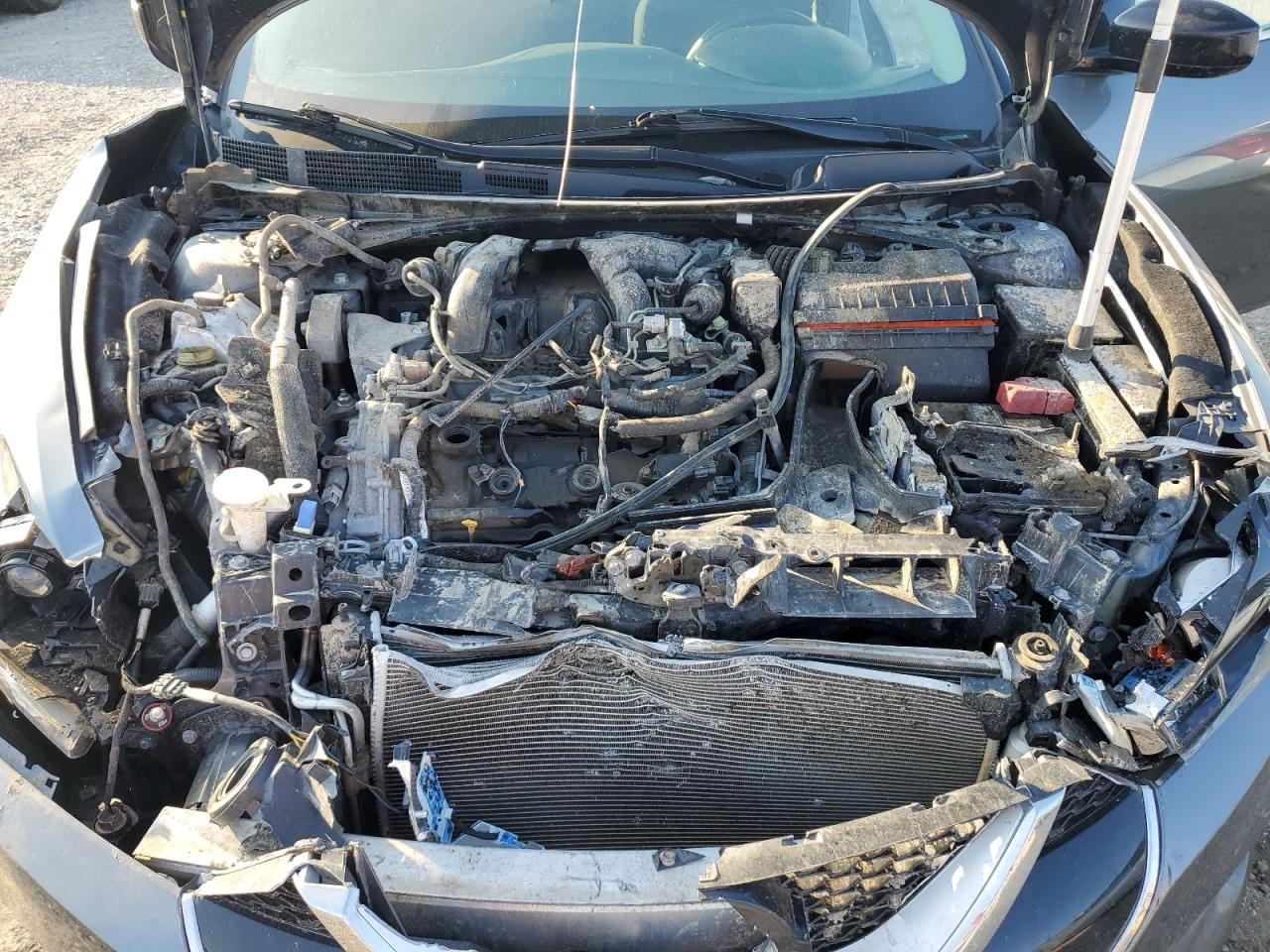 1N4AA6AP5HC451442 NISSAN MAXIMA 2017