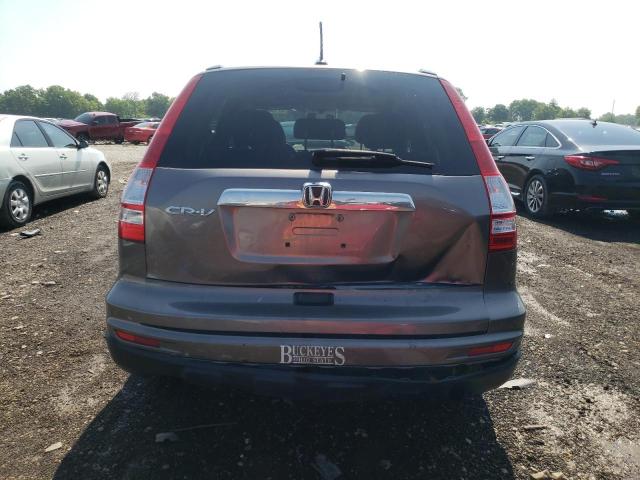 2010 Honda Cr-V Exl VIN: 5J6RE3H75AL042556 Lot: 57159073