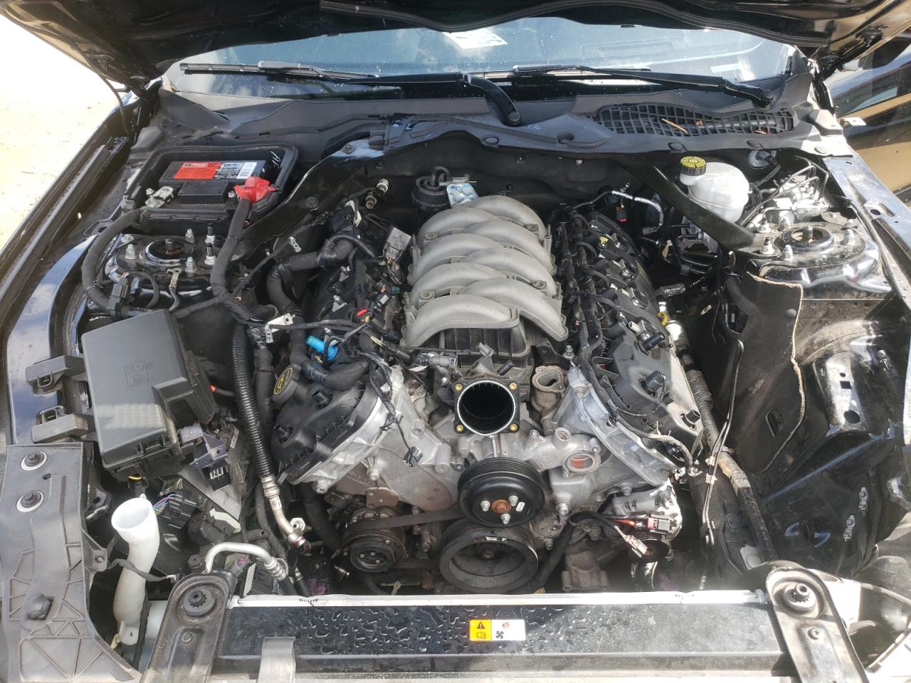 1FA6P8JZ4K5550623 FORD MUSTANG 2019