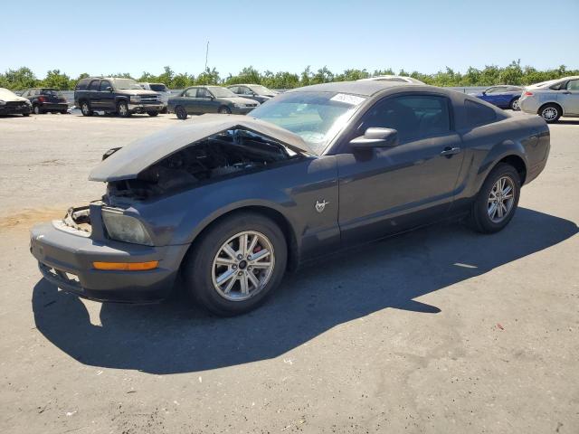 2009 Ford Mustang 