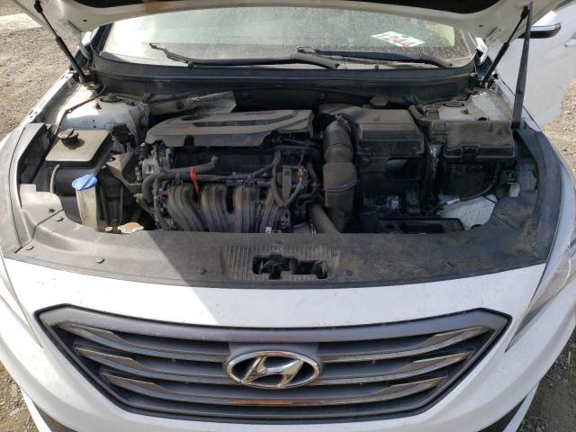 5NPE34AF4HH509899 Hyundai Sonata Sport