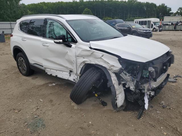 2021 HYUNDAI SANTA FE B KM8S2DA13MU013191