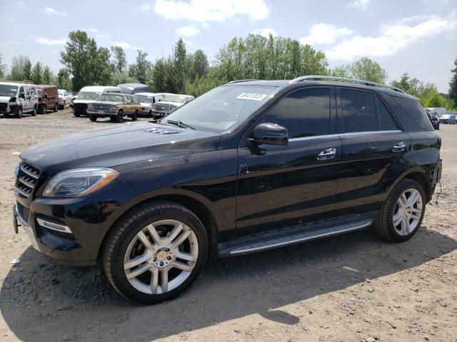 VIN 4JGDA5HB6EA369704 2014 Mercedes-Benz ML-Class, ... no.1