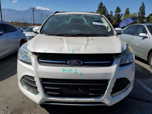 1FMCU0GX5EUD44861 Ford ESCAPE SE