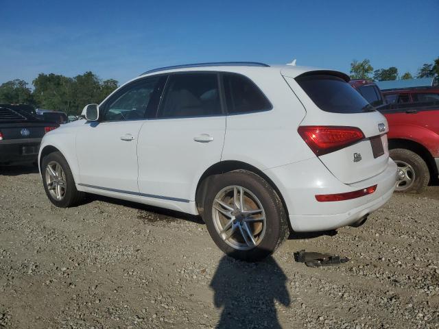 VIN WA1LFAFP6DA016817 2013 Audi Q5, Premium Plus no.2