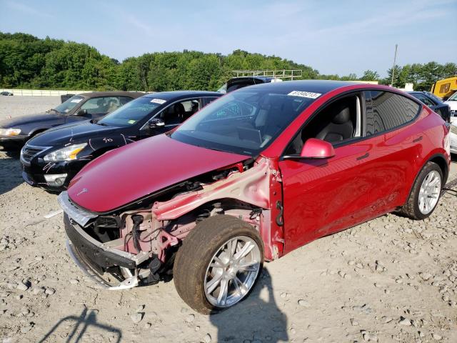 2020 Tesla Model Y 