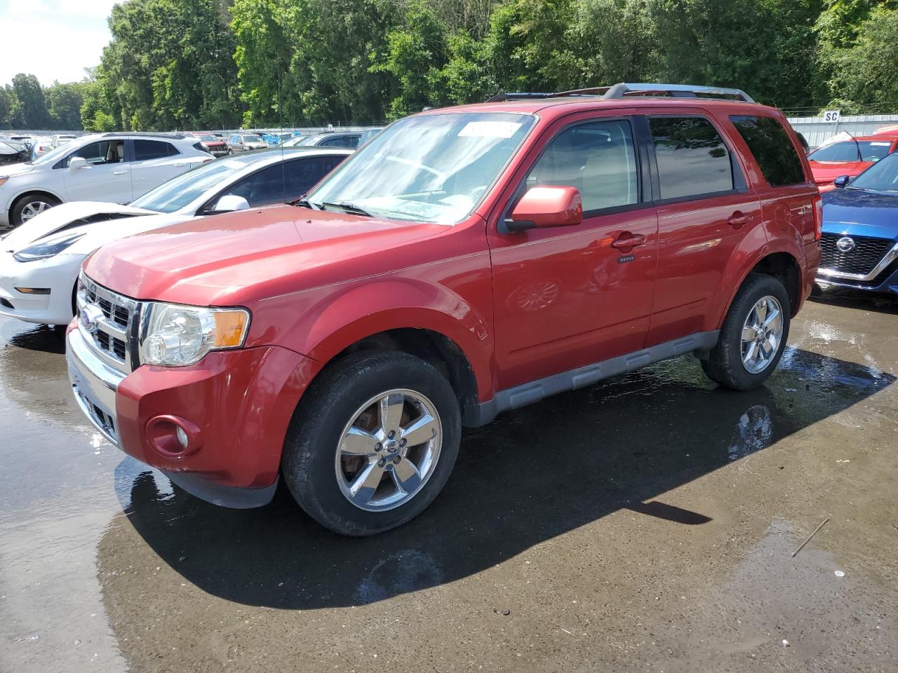FORD ESCAPE LIMITED