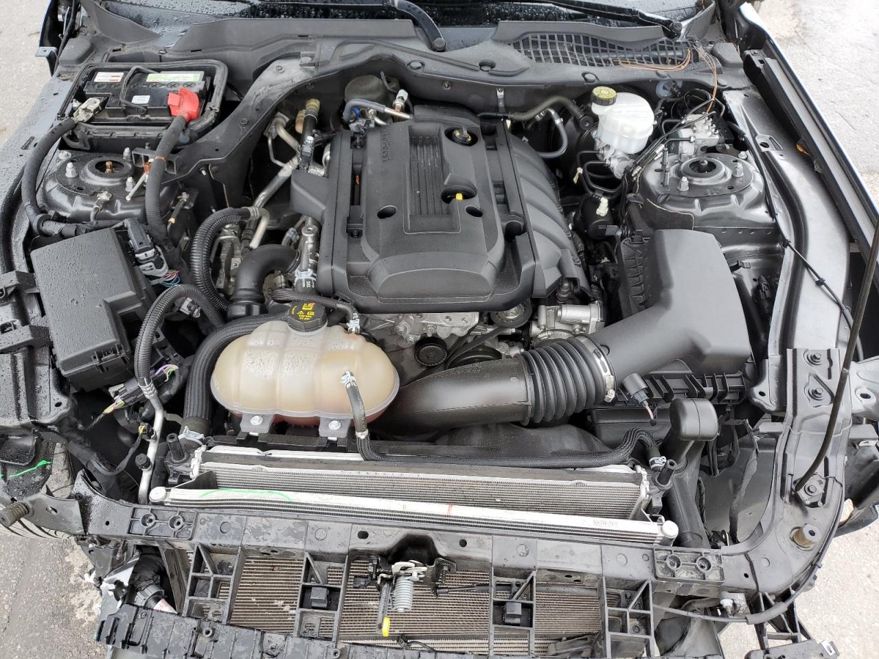 1FA6P8TH2K5188716 FORD ALL Models 2019