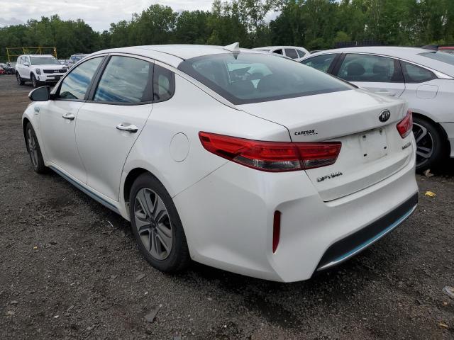 2017 KIA OPTIMA PLU - KNAGV4LD3H5016839