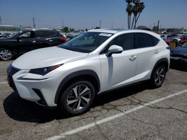 2021 LEXUS NX 300H BA - JTJGJRDZ8M2159011